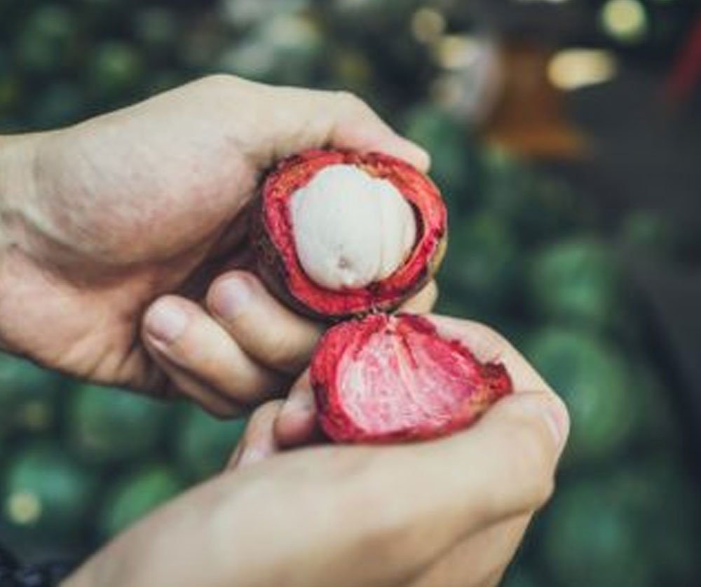 Mangosteen skincare product image